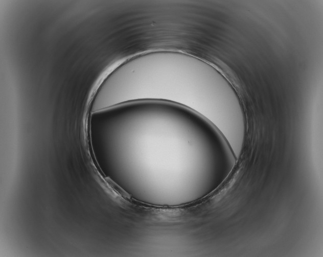 X0000088441196200705220908