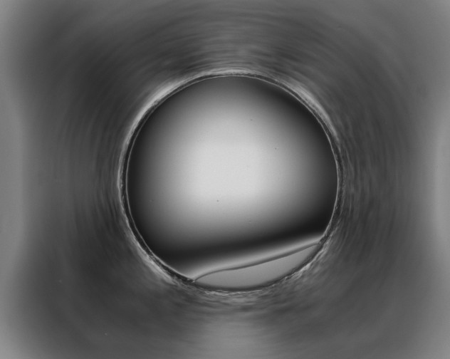 X0000088441197200705220908