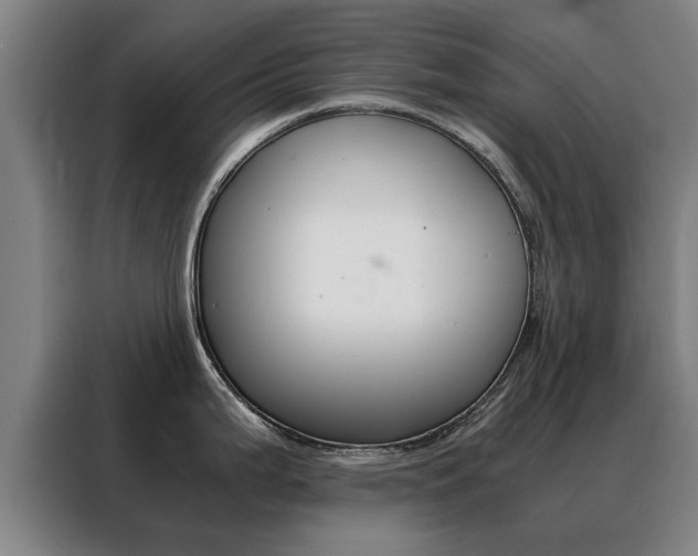 X0000088441199200705220908