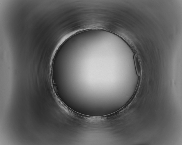 X0000088441200200705220908