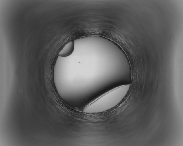 X0000088441201200705220907