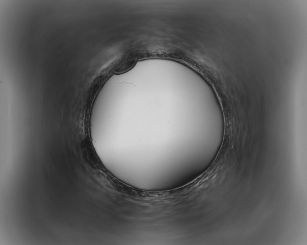 X0000088441205200705220908