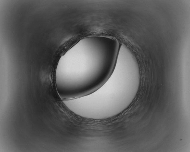 X0000088441206200705220908