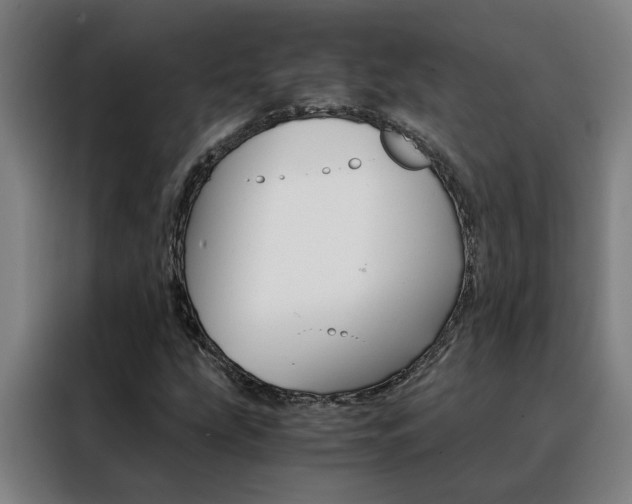 X0000088441207200705220908