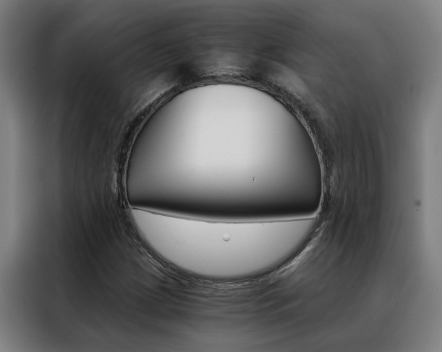X0000088441209200705220908