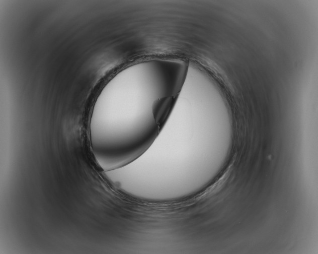 X0000088441210200705220908
