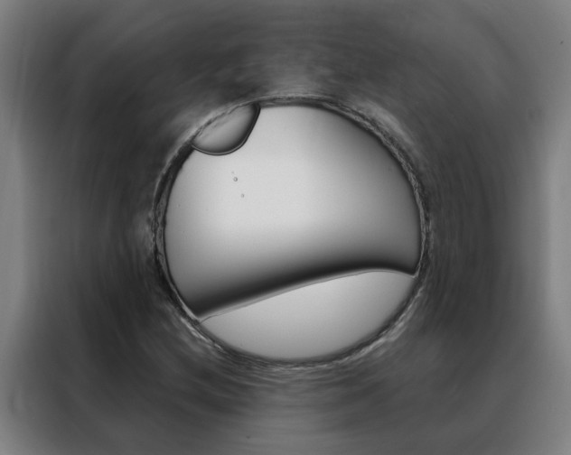 X0000088441212200705220908