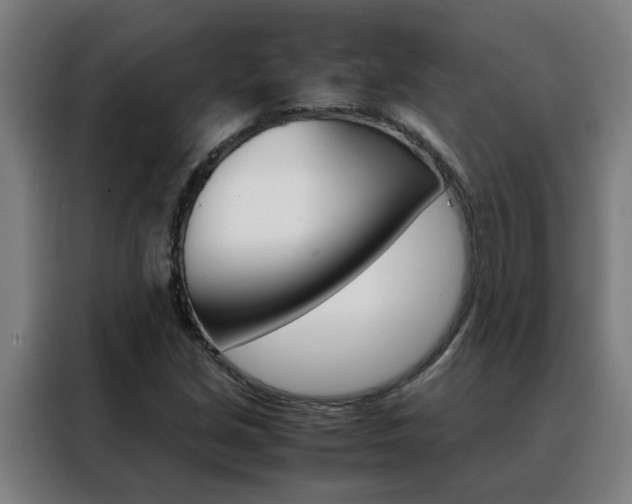 X0000088441213200705220908