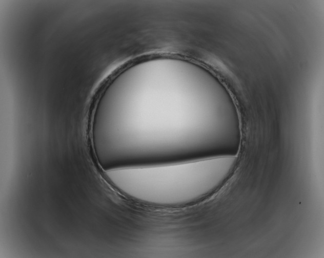 X0000088441216200705220908