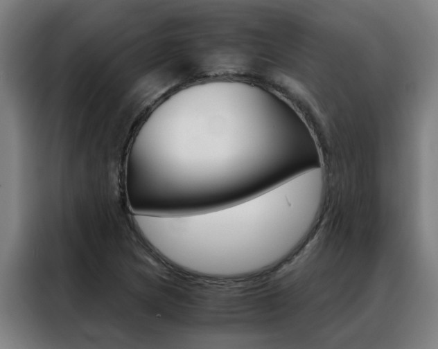 X0000088441217200705220908