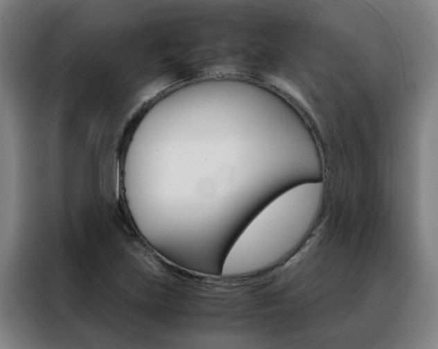 X0000088441219200705220908