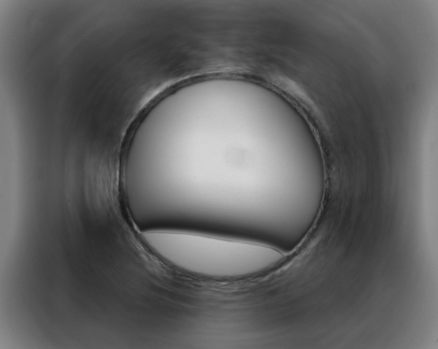 X0000088441220200705220908