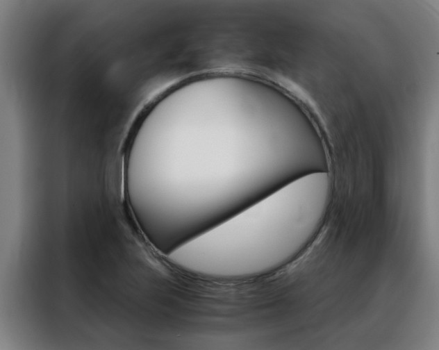 X0000088441223200705220908