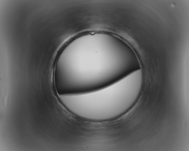 X0000088441224200705220908