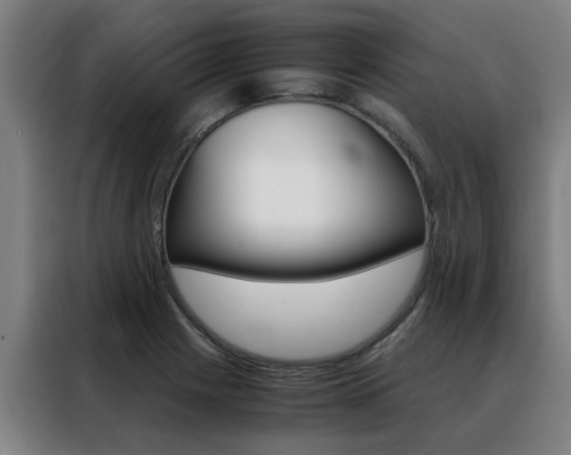 X0000088441225200705220908