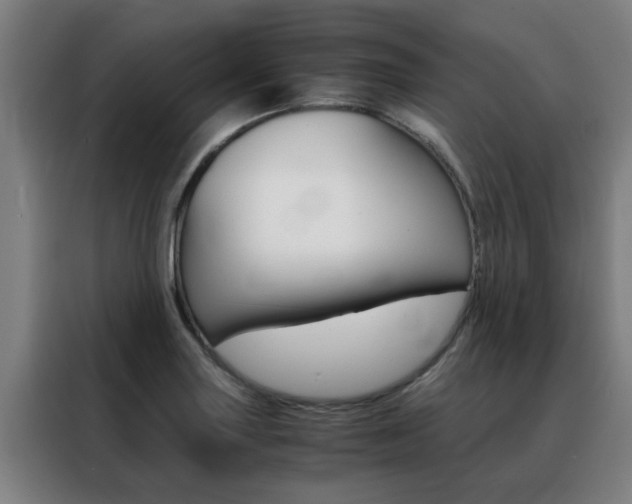 X0000088441227200705220908