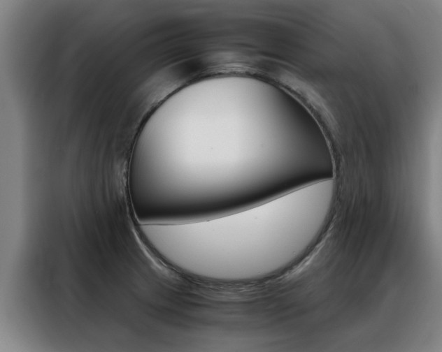 X0000088441233200705220908
