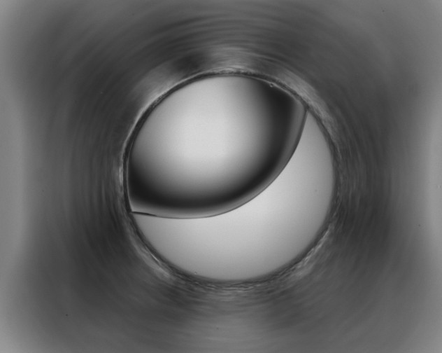 X0000088441234200705220908
