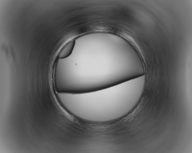 X0000088441235200705220908