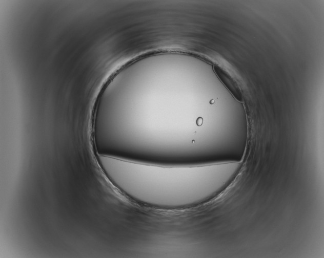 X0000088441240200705220908
