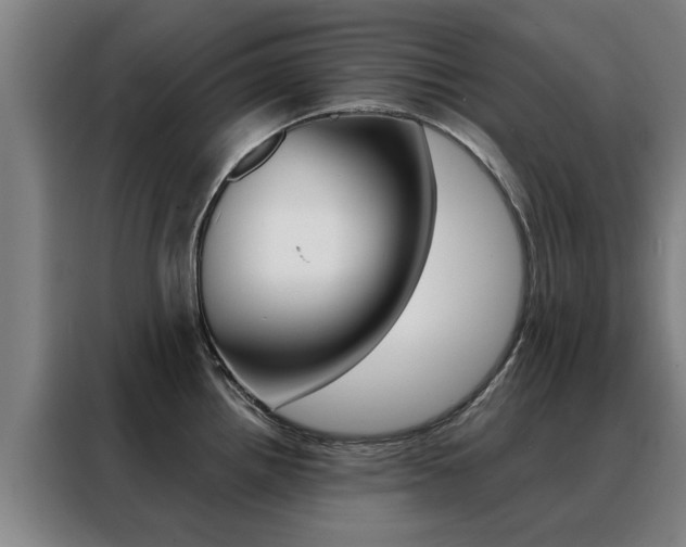 X0000088441242200705220908
