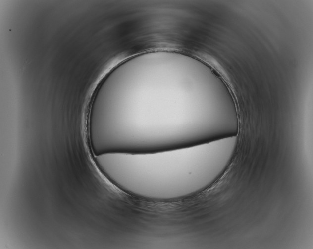 X0000088441243200705220908
