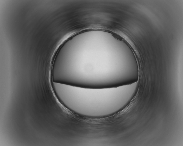 X0000088441245200705220908