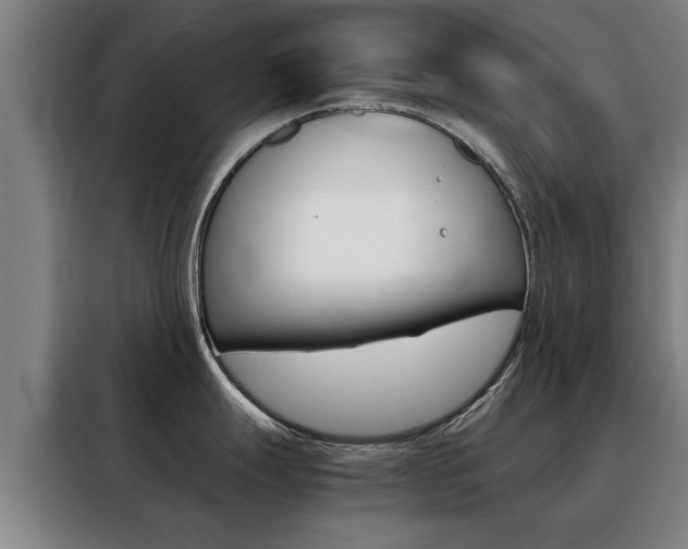 X0000088441247200705220908