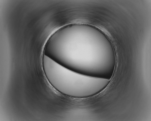 X0000088441248200705220908