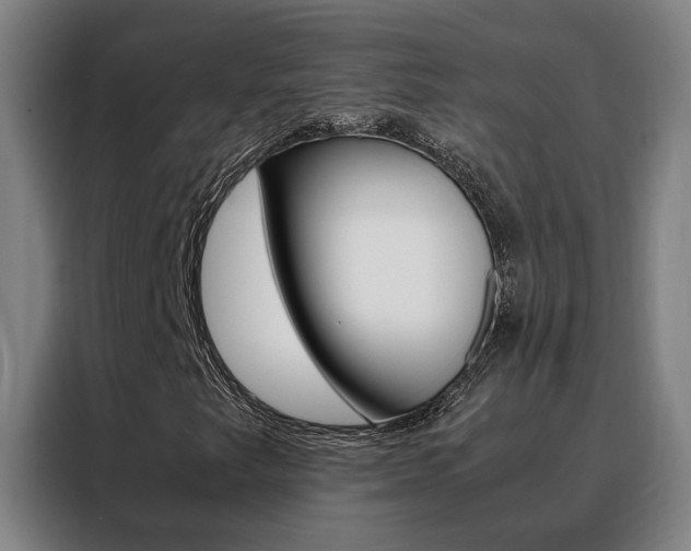 X0000088441249200705220907