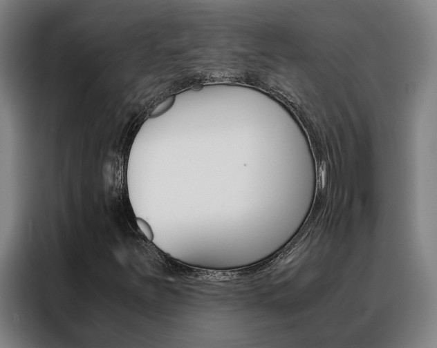 X0000088441251200705220907