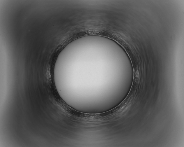X0000088441252200705220907