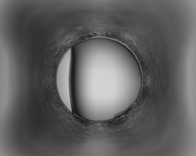 X0000088441253200705220907