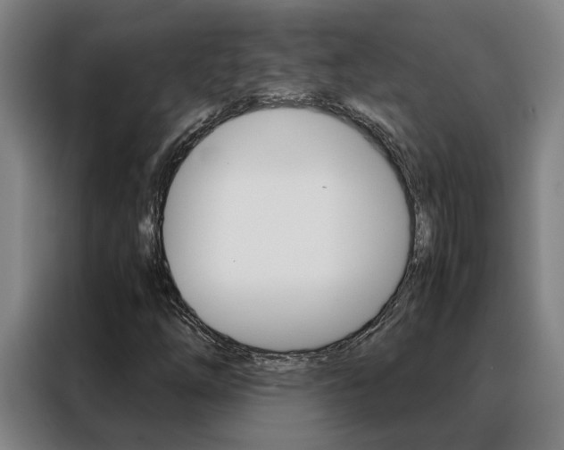 X0000088441254200705220907