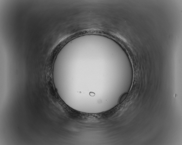 X0000088441255200705220907
