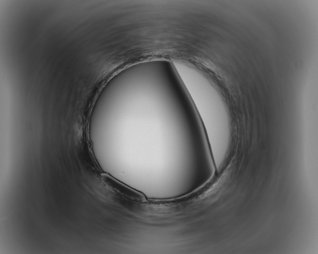 X0000088441257200705220907