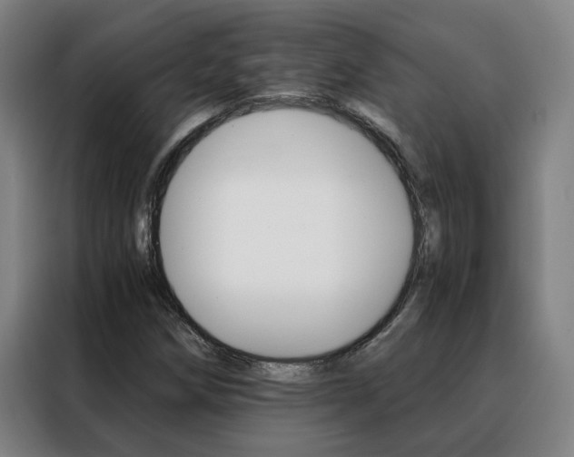 X0000088441258200705220907