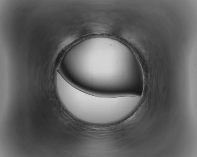X0000088441261200705220907