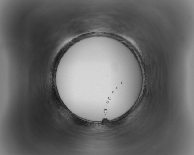 X0000088441263200705220907