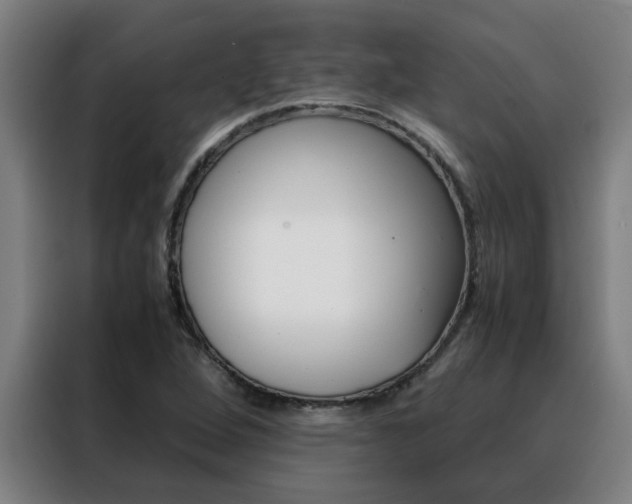 X0000088441264200705220907