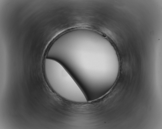 X0000088441268200705220907