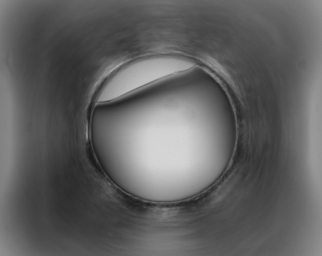 X0000088441269200705220907