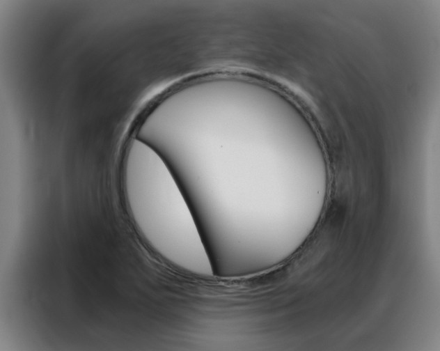 X0000088441271200705220907