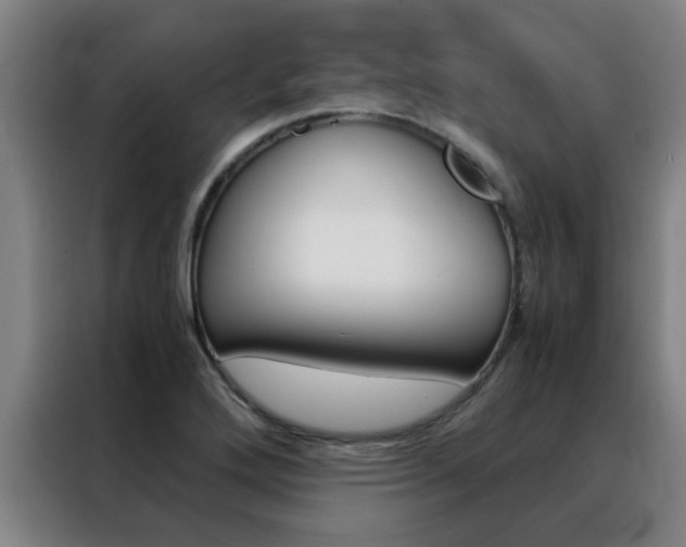 X0000088441272200705220907