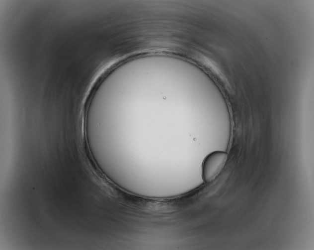 X0000088441275200705220907