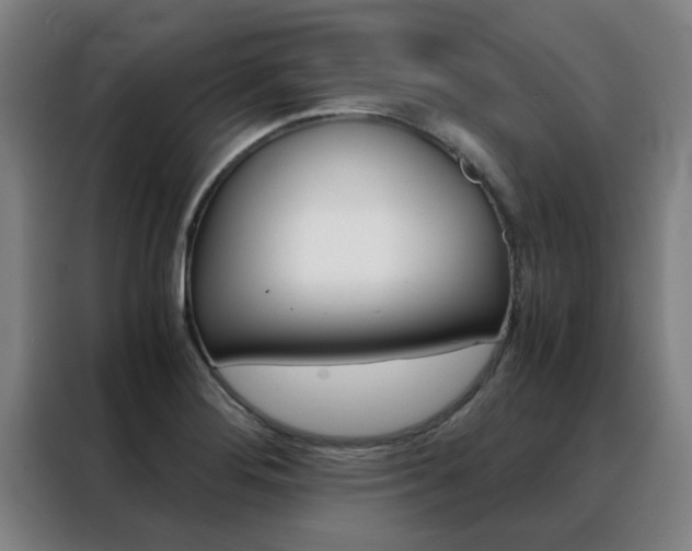 X0000088441276200705220907