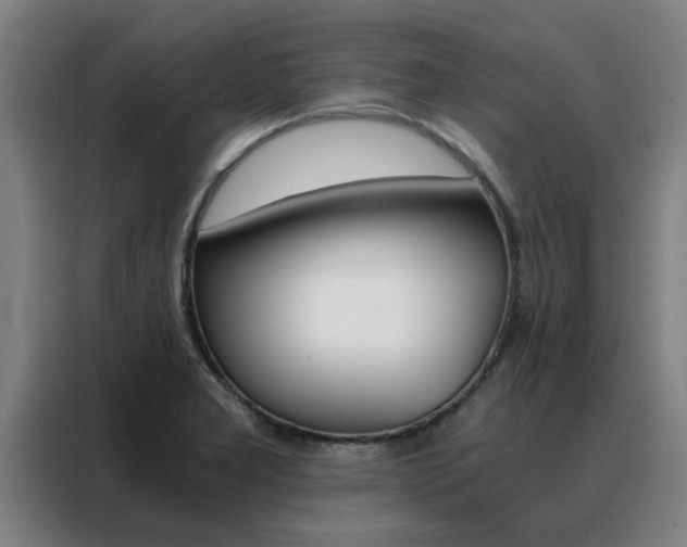 X0000088441277200705220907
