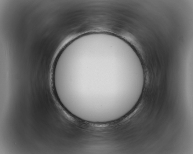 X0000088441278200705220907