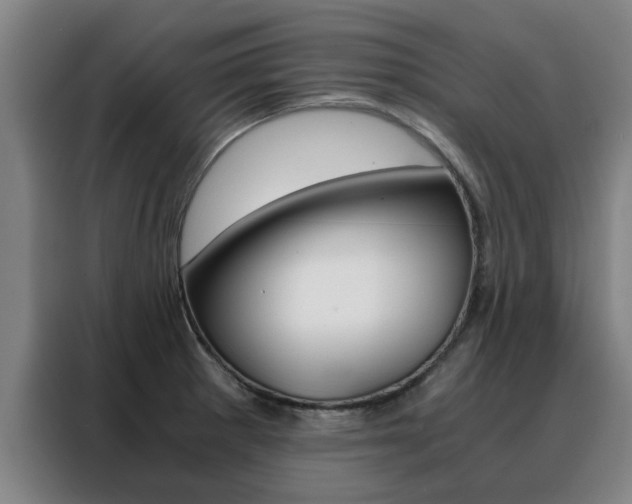 X0000088441281200705220907