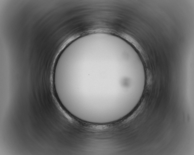 X0000088441282200705220907